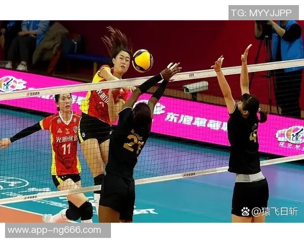 2019年辽宁女排与云南女排激战回顾：精彩瞬间与赛场故事分享