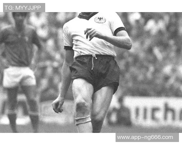 孙兴O的传奇之路：从青涩少年到足球巨星的成长故事