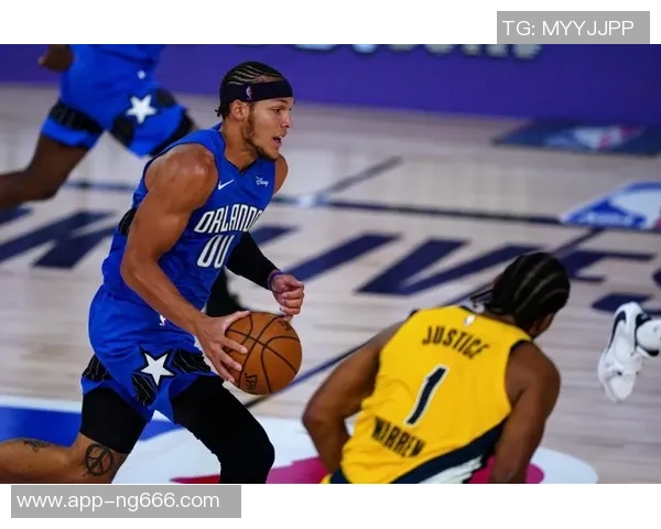 尼古拉武切维奇的艺术旅程与影响力探讨